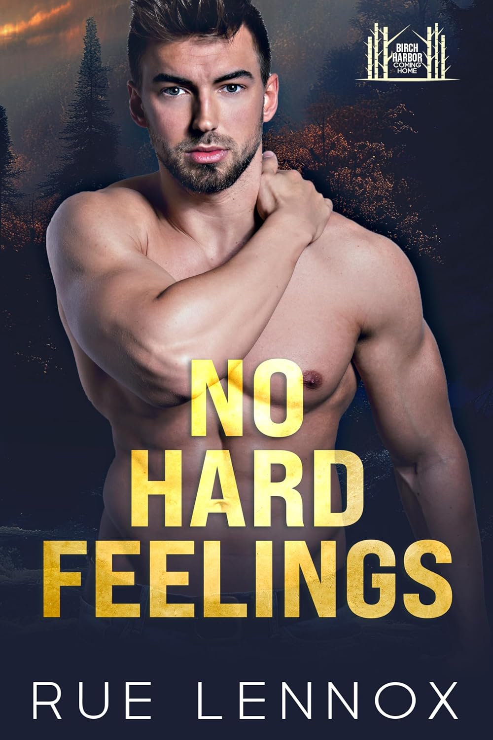 No Hard Feelings