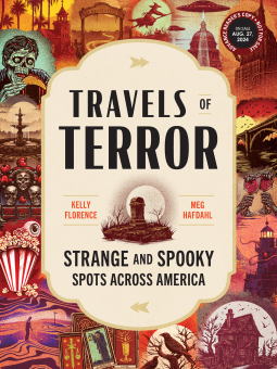 Travels of Terror book cover
