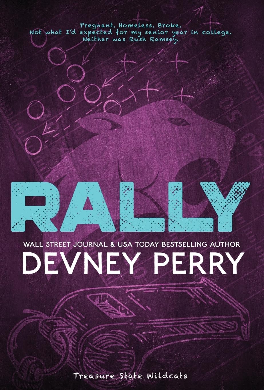 Rally (Treasure State Wildcats, #3)