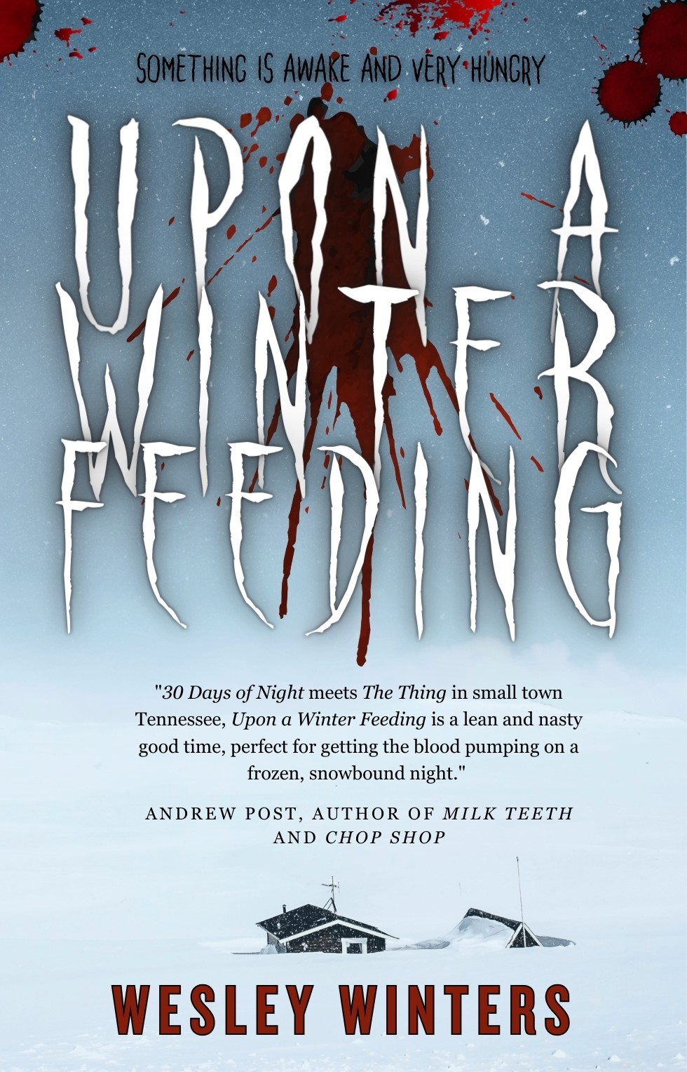 Upon a Winter Feeding