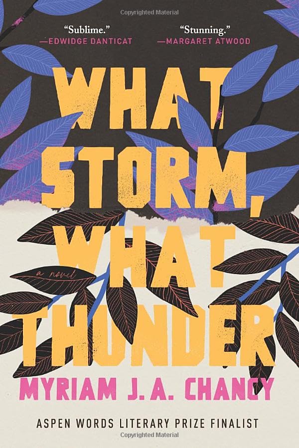 What Storm, What Thunder