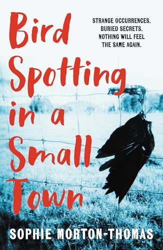 Bird Spotting In A Small Town