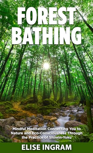 Forest Bathing: Mindful Meditation Connecting You to Nature and Eco ...