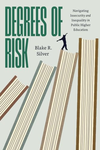 Degrees of Risk: Navigating Insecurity and Inequality in Public Higher Education