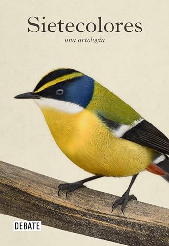 Sietecolores book cover