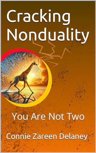 Cracking Nonduality: You Are Not Two