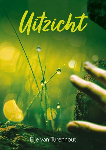 Uitzicht