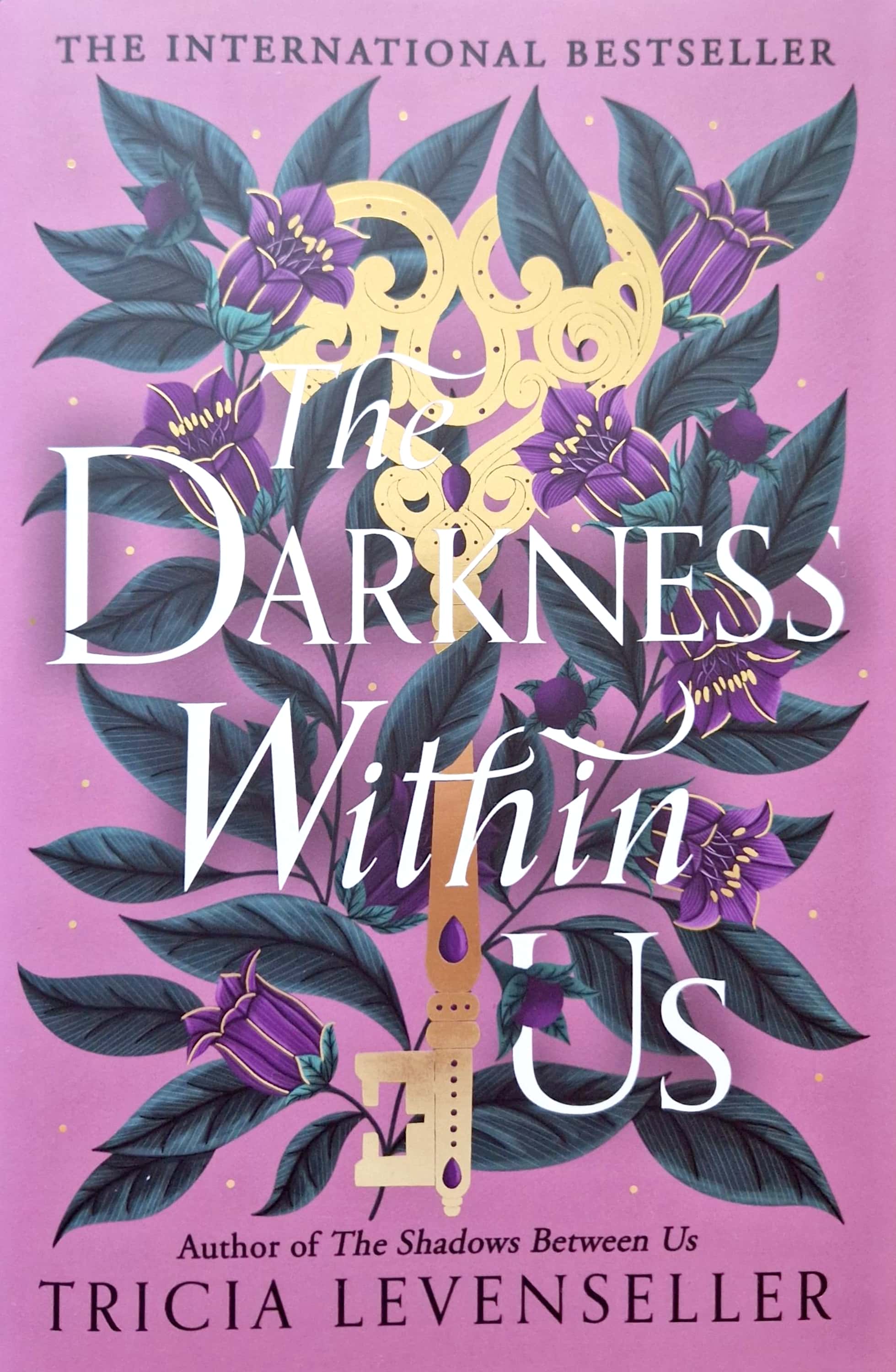 The Darkness Within Us (The Shadows Between Us, #2)