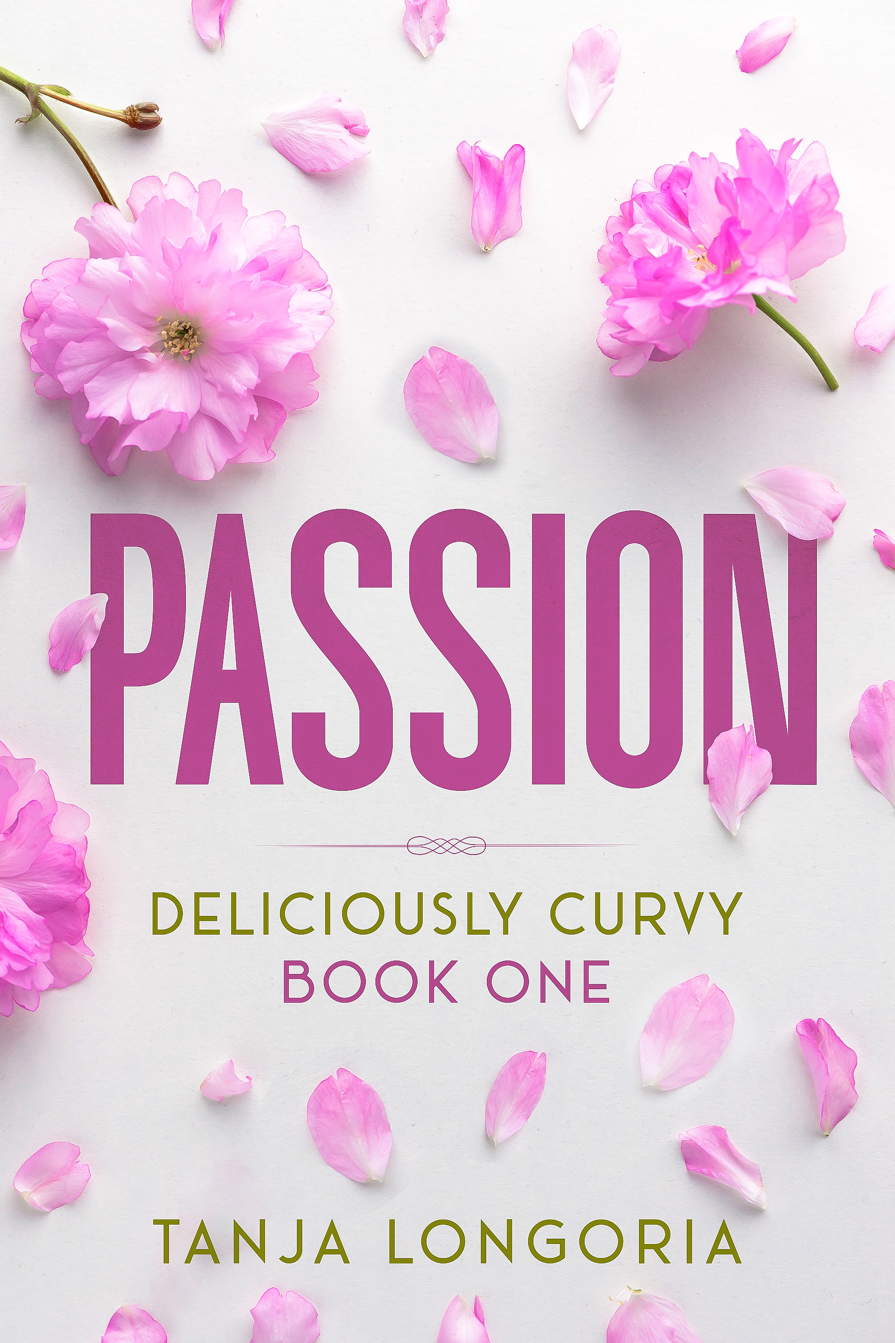 Passion: A Steamy Vacation Romance Novella
