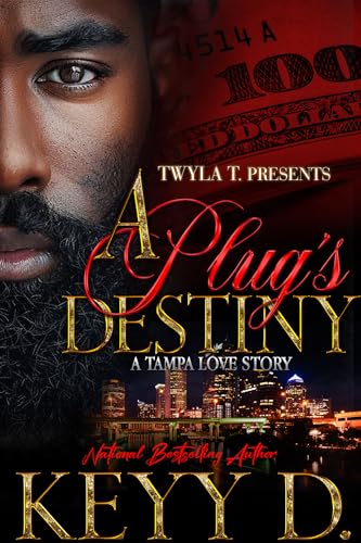 A Plug's Destiny: A Tampa Love Story