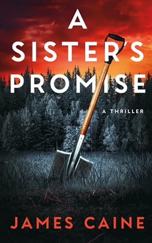 A Sister's Promise