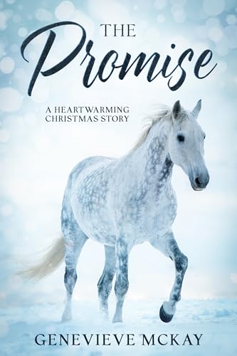 The Promise: A Short Christmas Novella