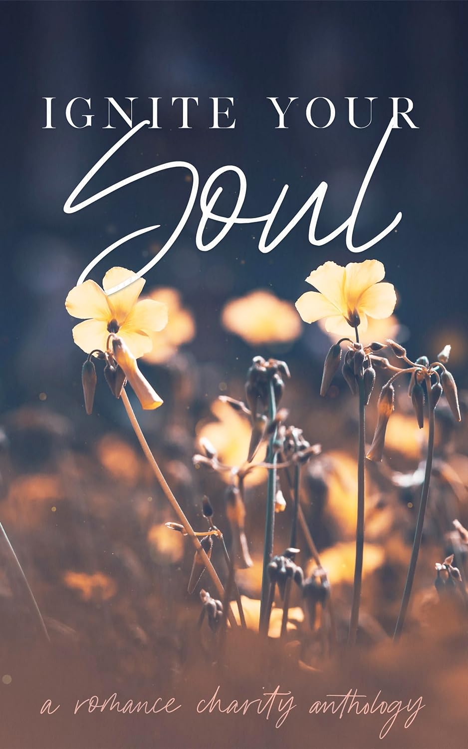 Ignite Your Soul Anthology