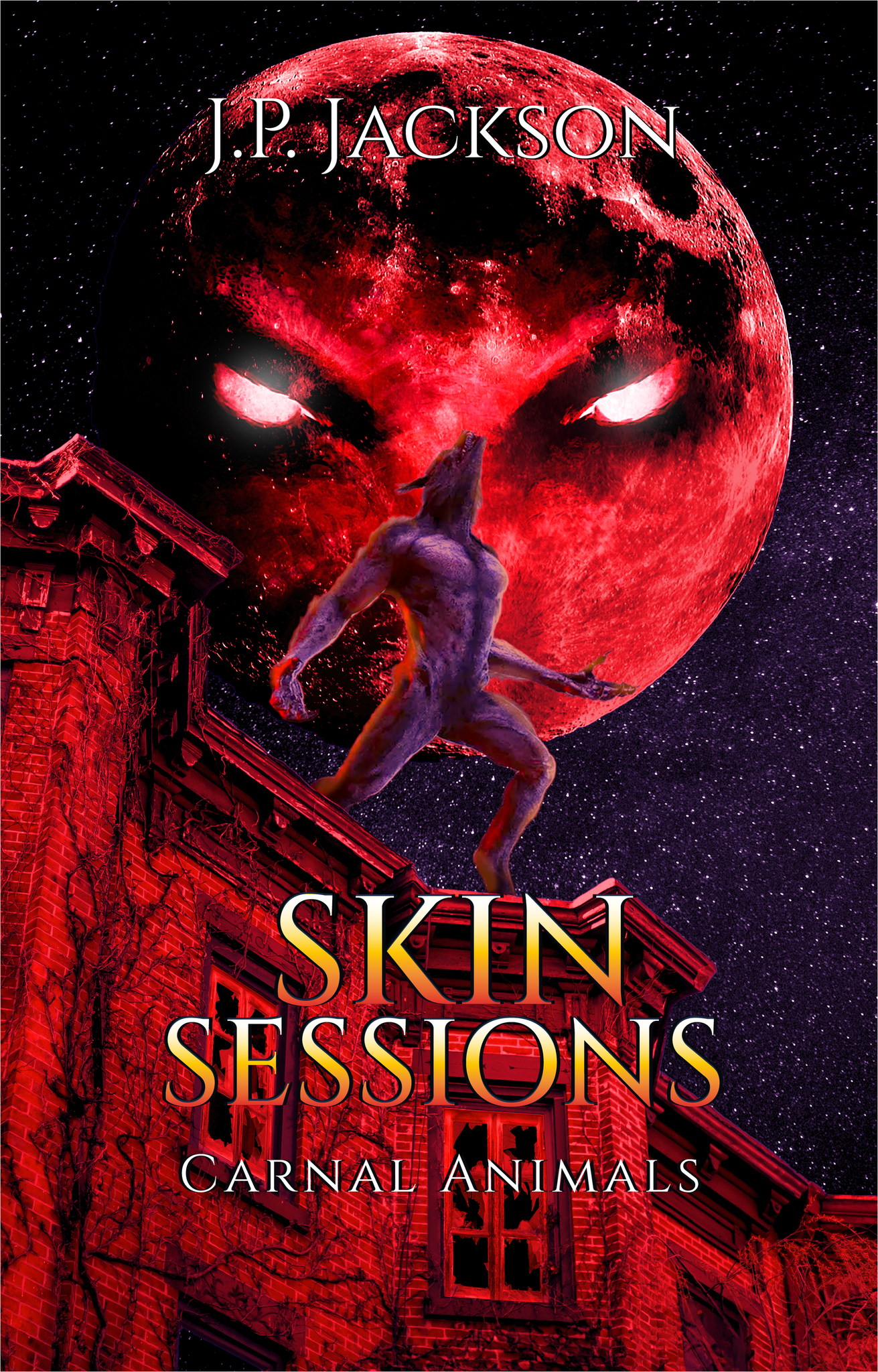 Skin Sessions book cover 3