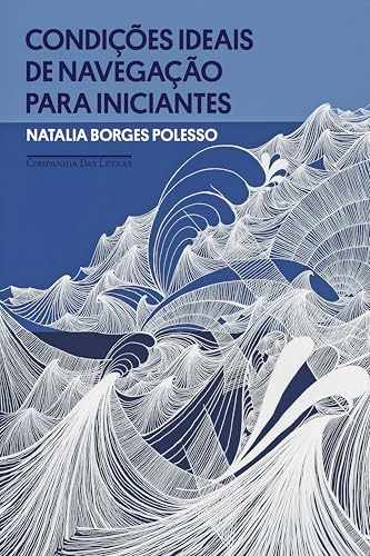 Condições ideais de navegação para iniciantes book cover