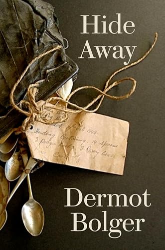 Hide Away book cover