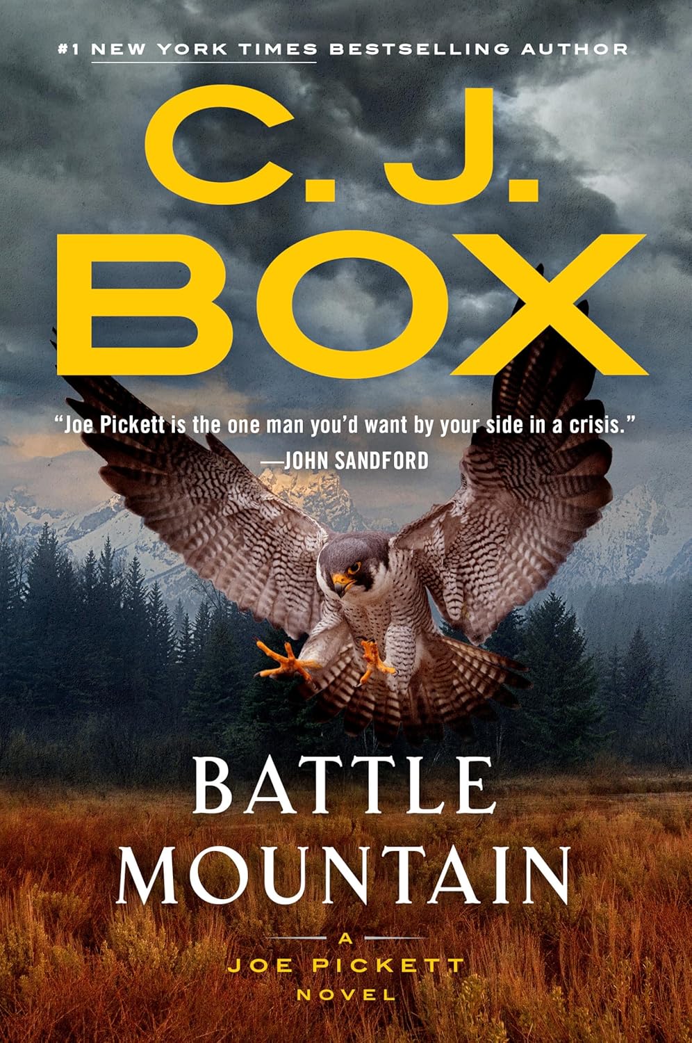 Battle Mountain (Joe Pickett, #25)