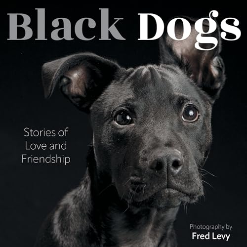 Black Dogs: Stories of Love and Friendship