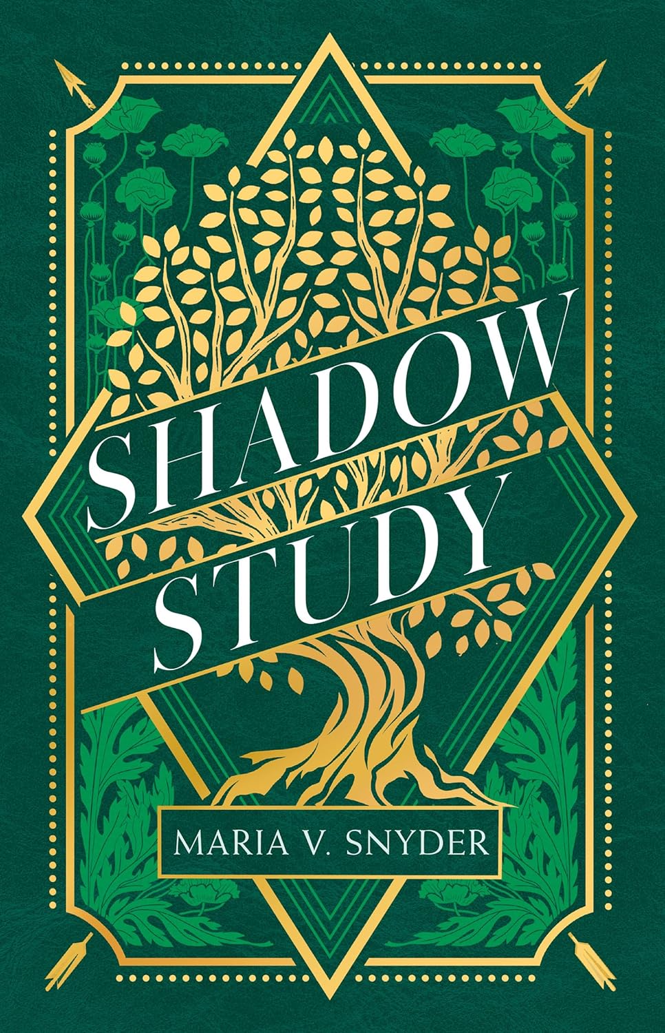 Shadow Study (Soulfinders, #1)
