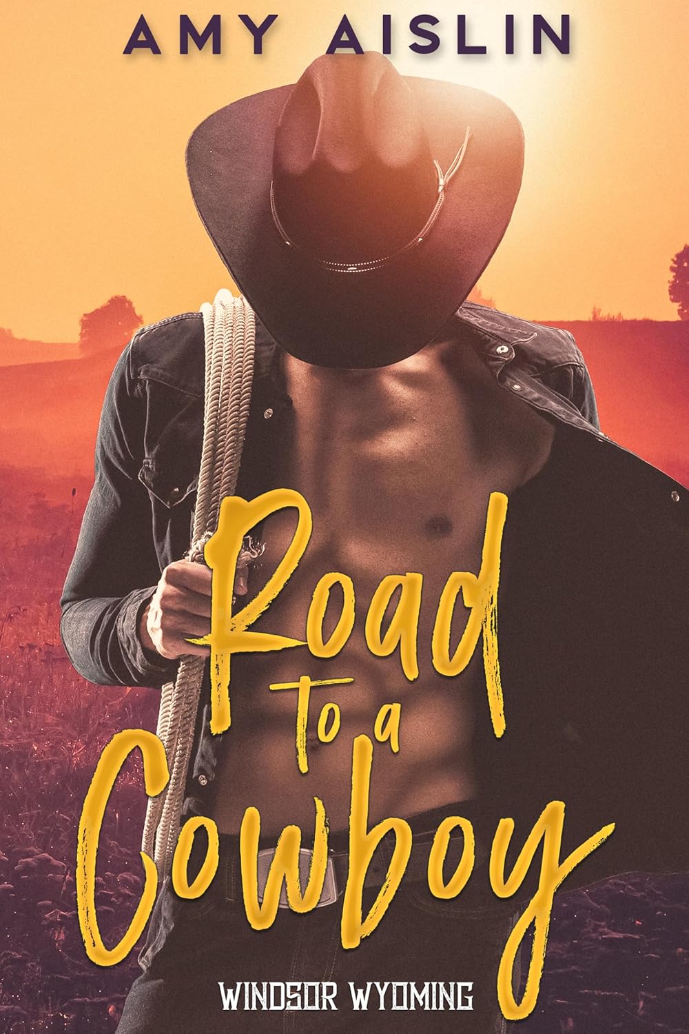 Road to a Cowboy book cover