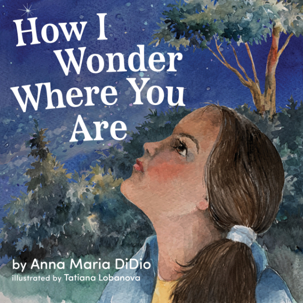 How I Wonder Where You Are, Recognizing Adoptee Grief