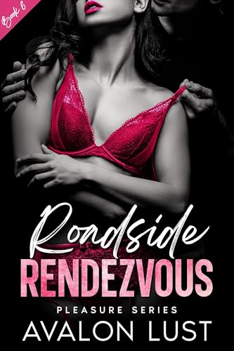 Roadside Rendezvous : Pleasure Series Book 6