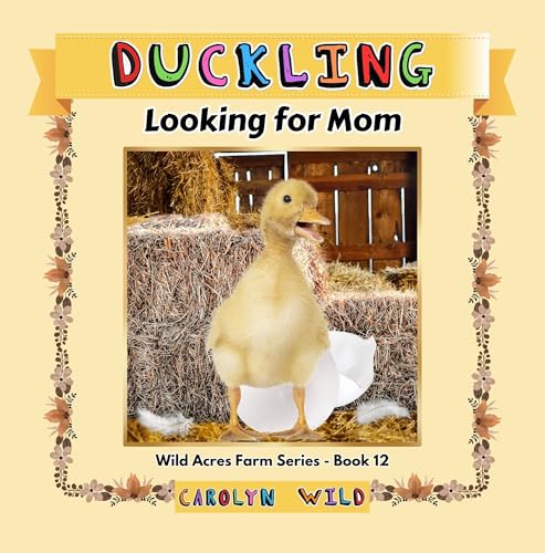 Duckling: Looking for Mom