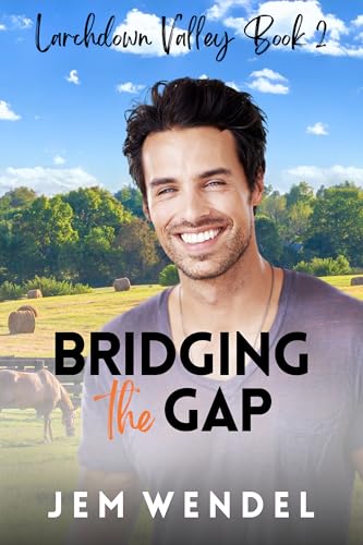 Bridging the Gap book cover