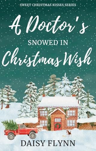 A Doctor's Snowed In Christmas Wish