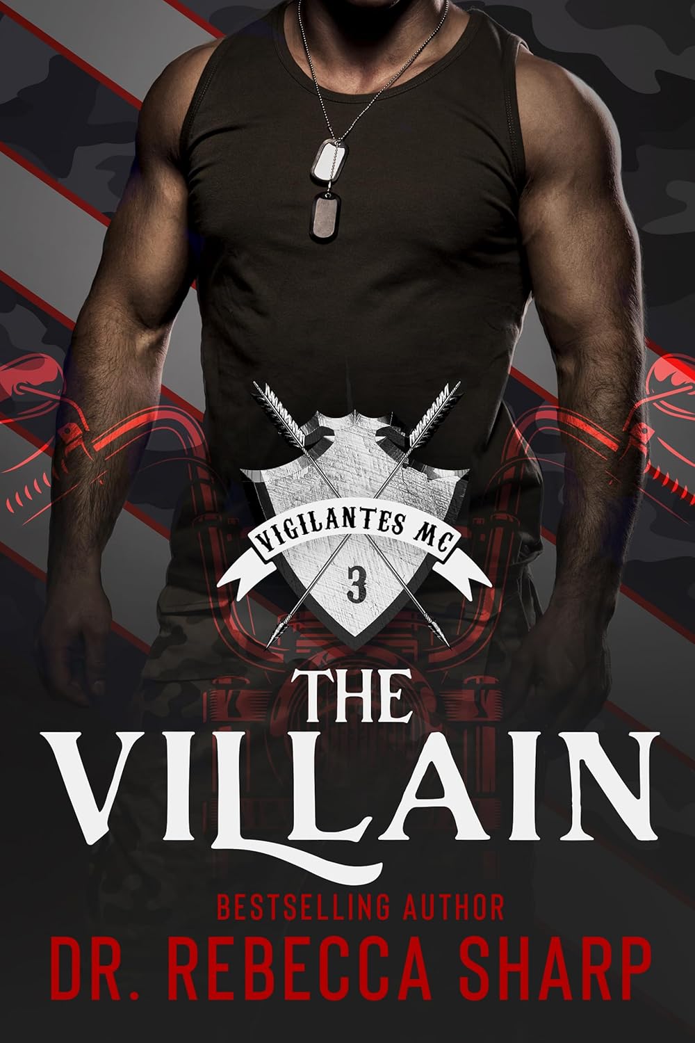The Vigilantes book cover 3