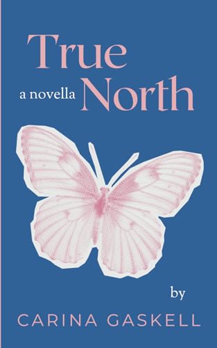 True North (Invincible Summer #1)