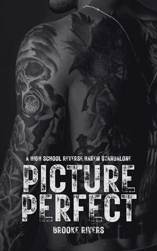 Picture Perfect: Standalone Enemies to Lovers Reverse Harem