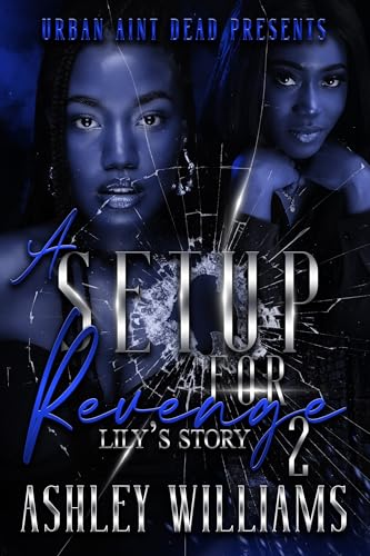 A Set Up For Revenge 2: Lily's Story