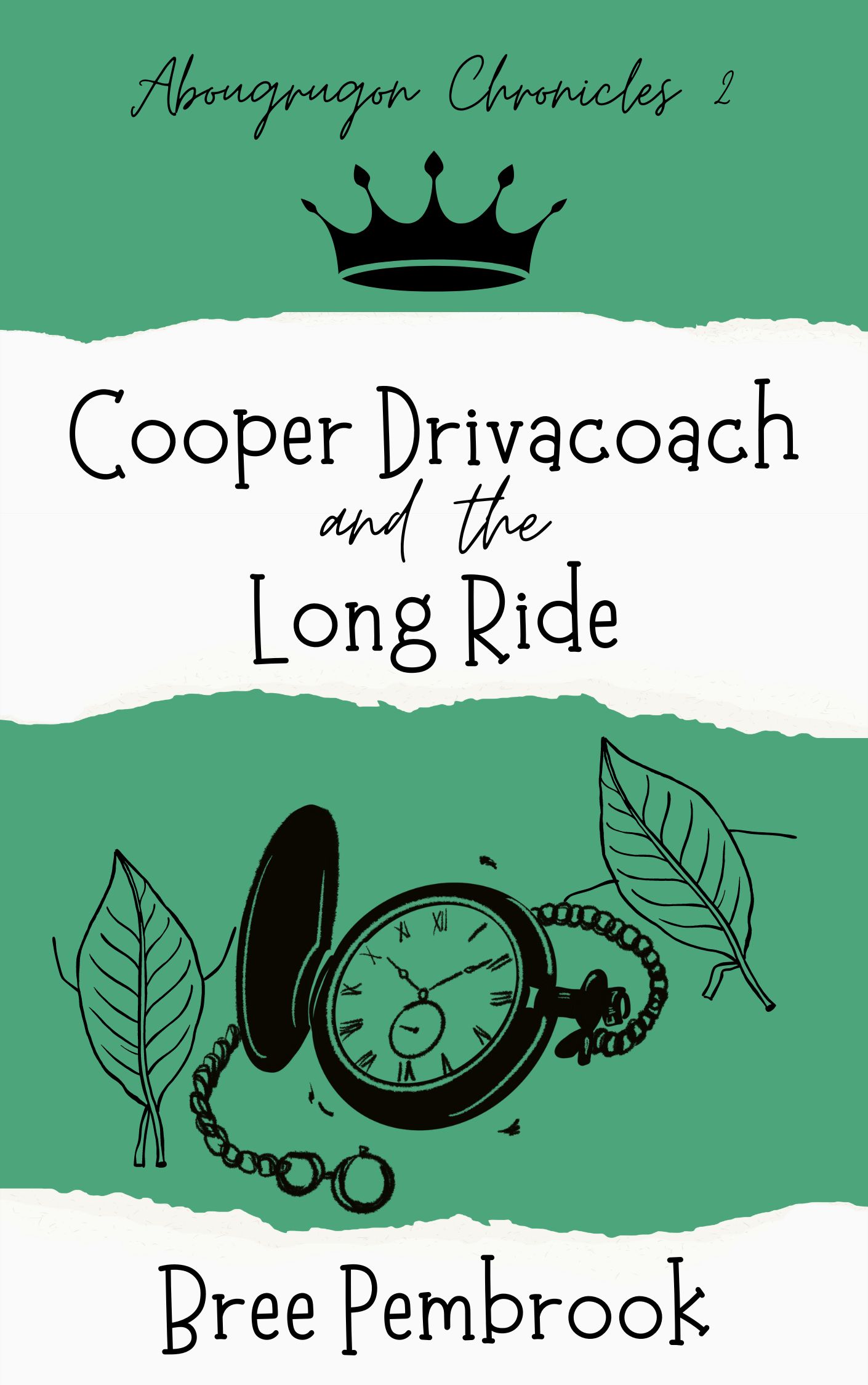 Cooper Drivacoach and the Long Ride