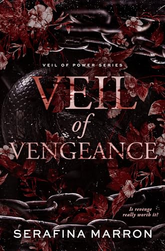 Veil of Vengeance (Veil of Power #1)