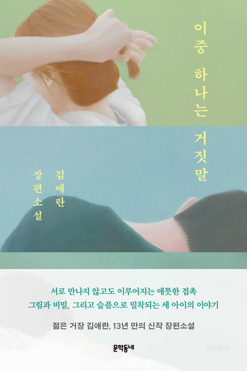 이중 하나는 거짓말 book cover