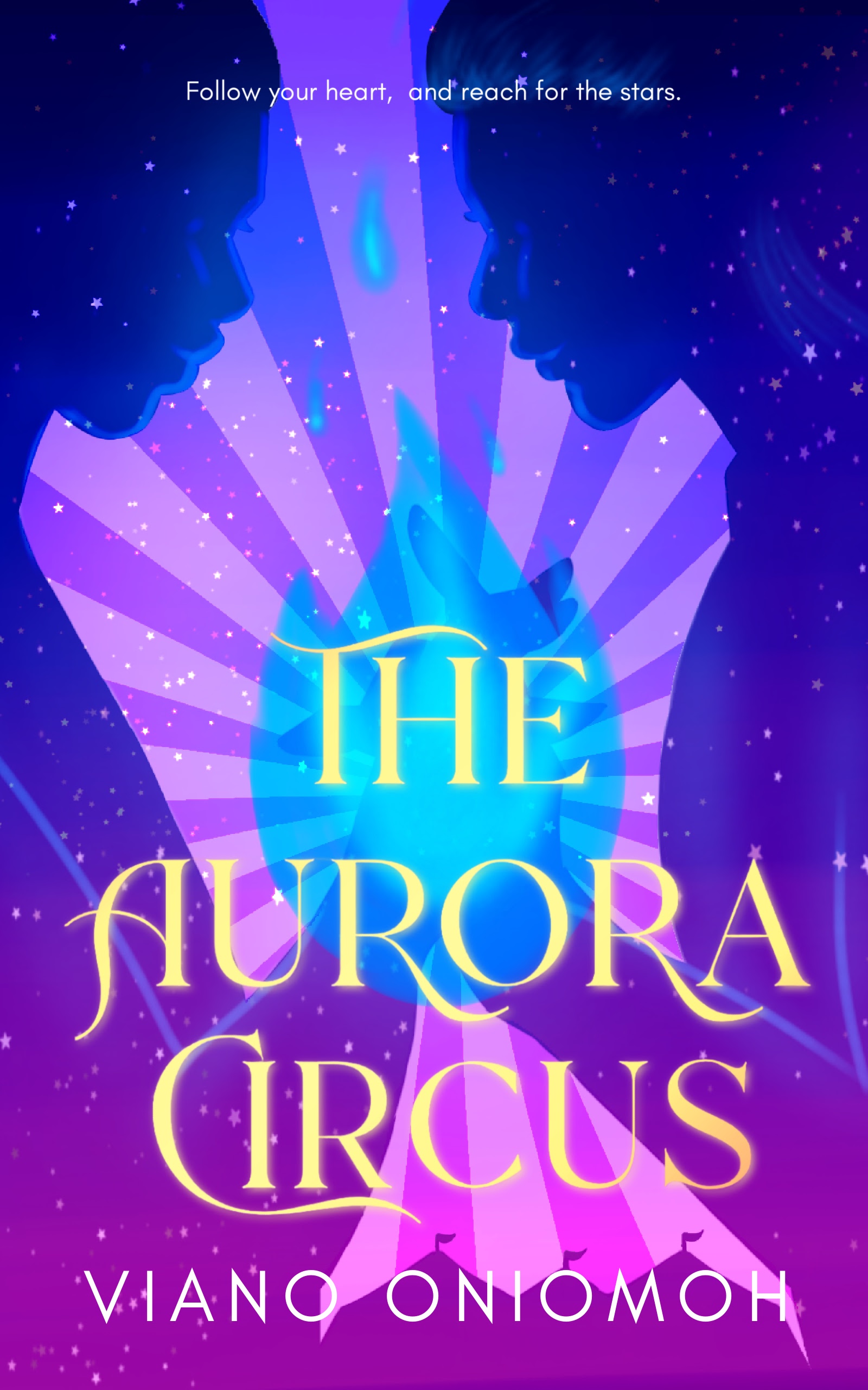 The Aurora Circus