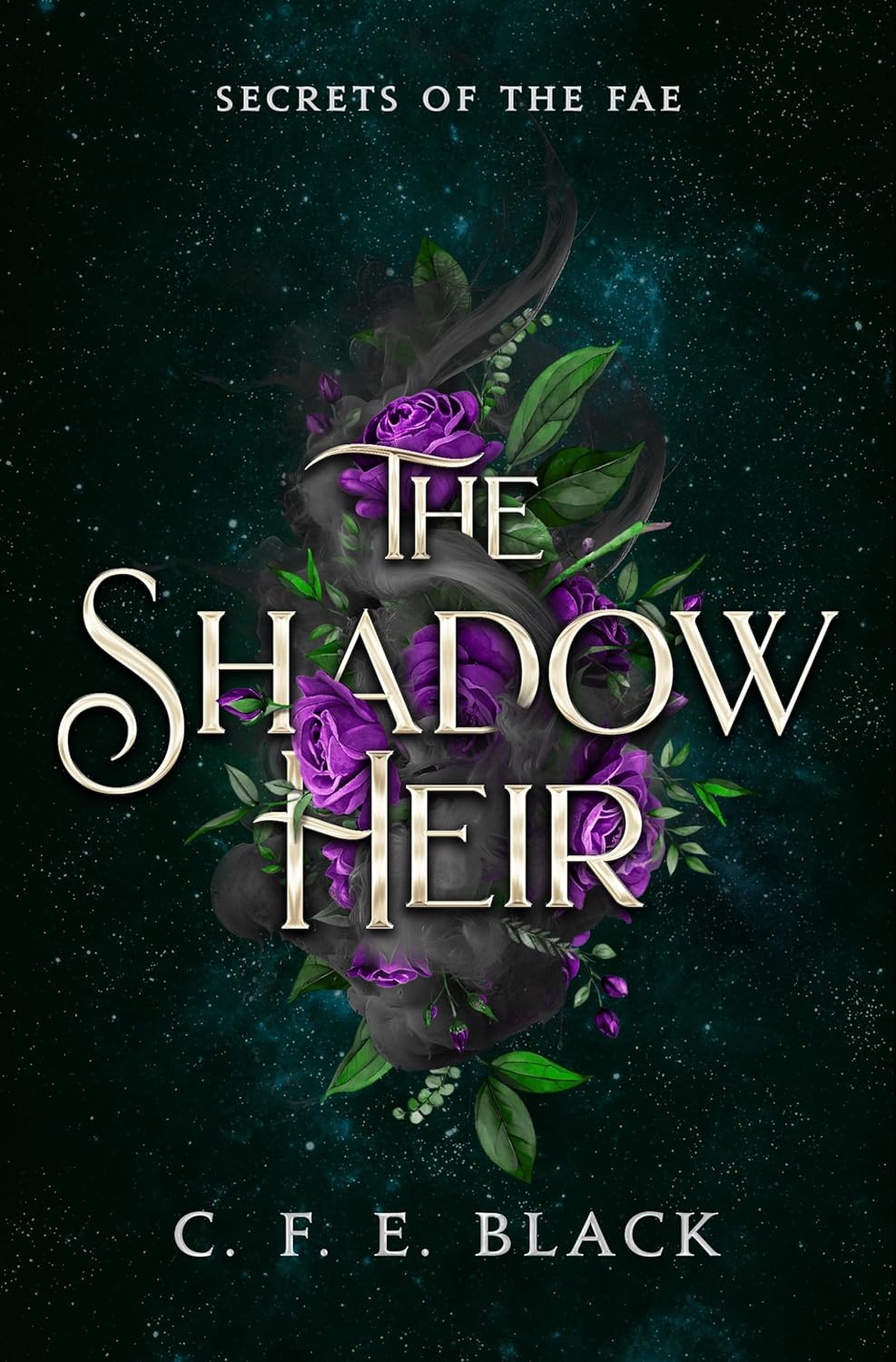 The Shadow Heir