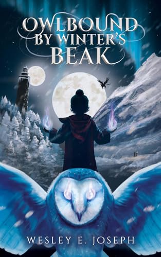 Owlbound by Winter's Beak (Owlbound, #1)