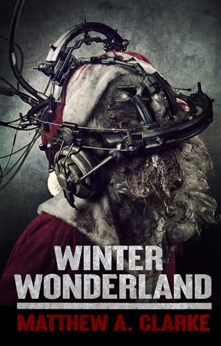Winter Wonderland book cover
