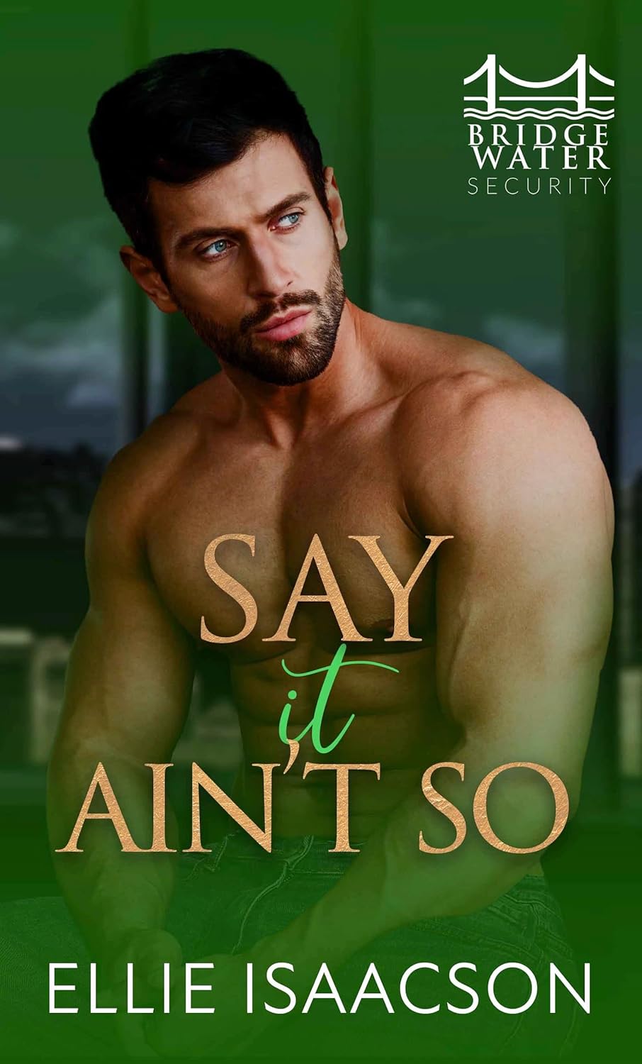 Say it Ain't So book cover