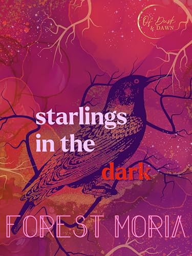 Starlings in the Dark