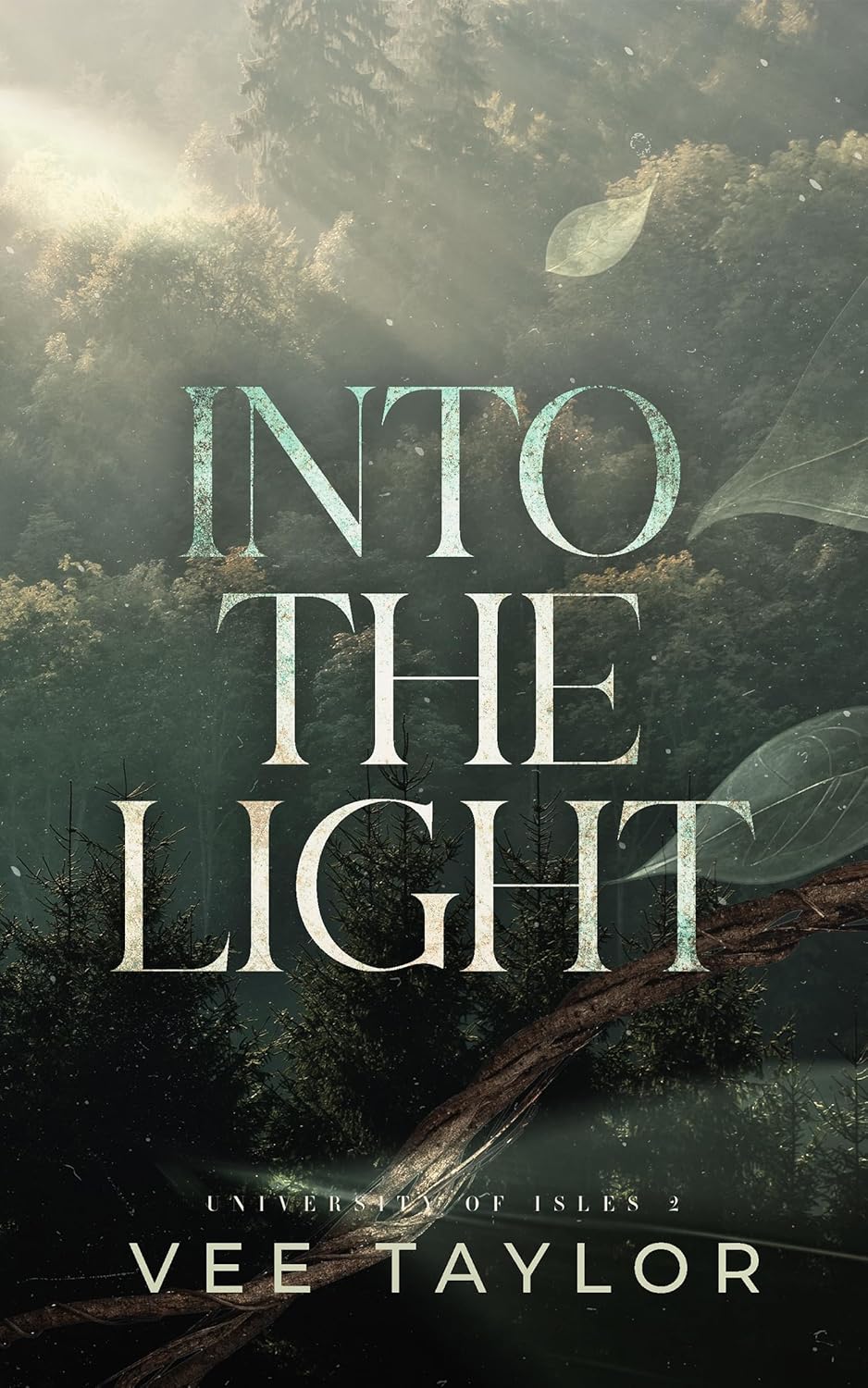 Into the Light