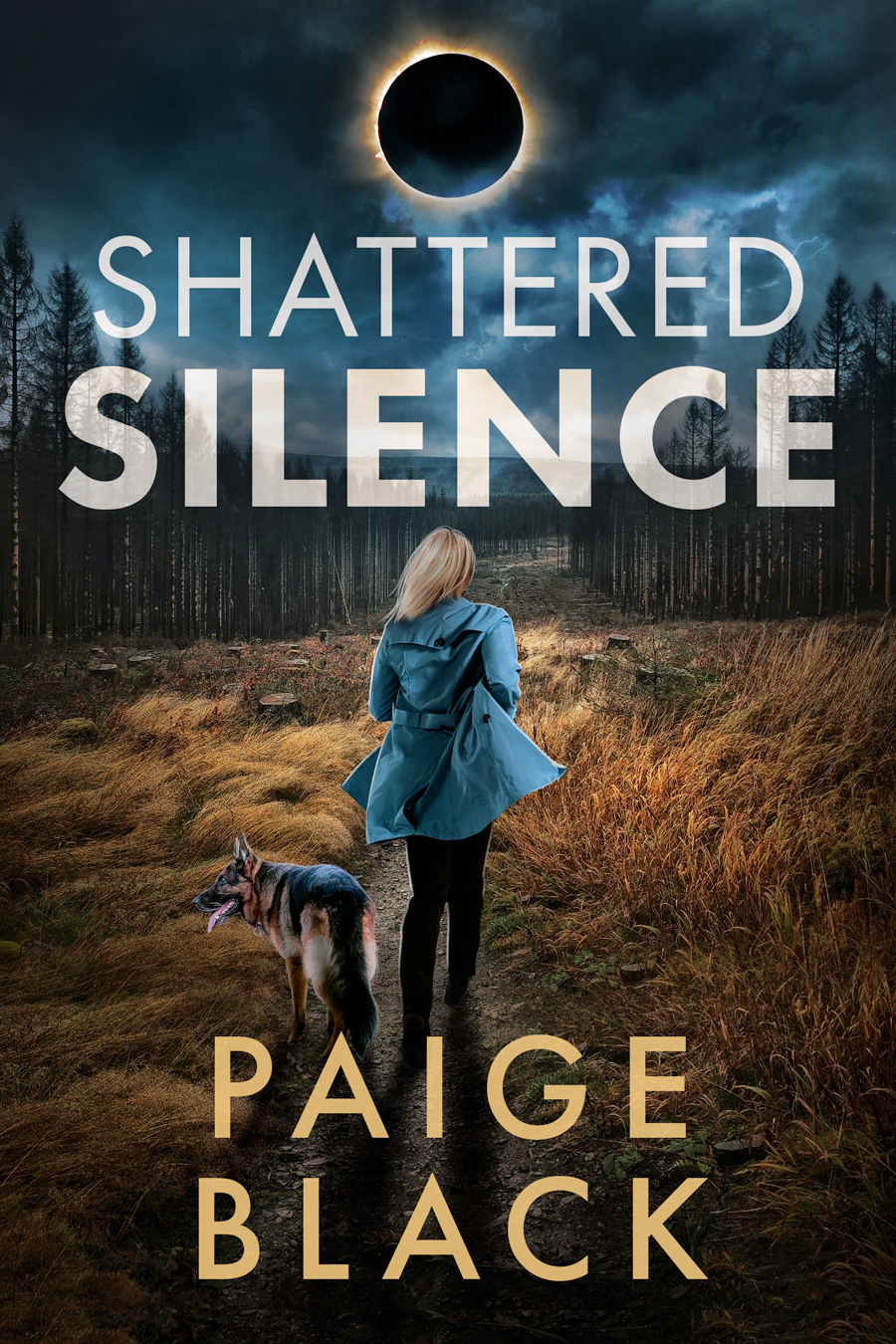 Shattered Silence