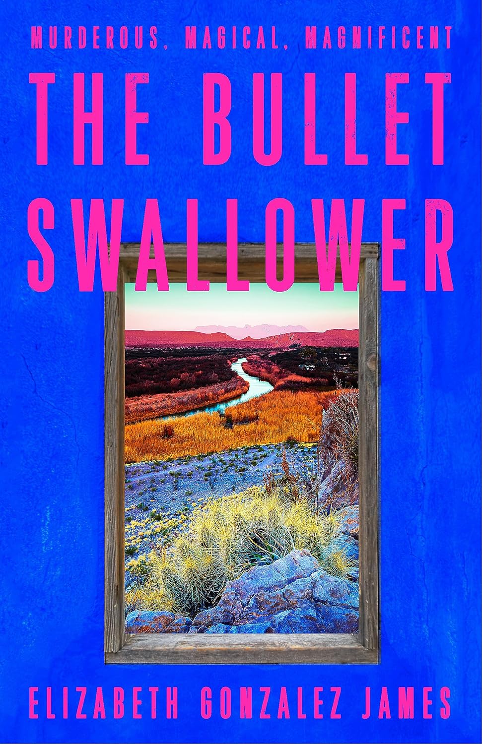 The Bullet Swallower