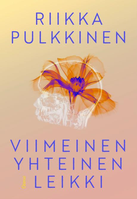 Viimeinen yhteinen leikki book cover