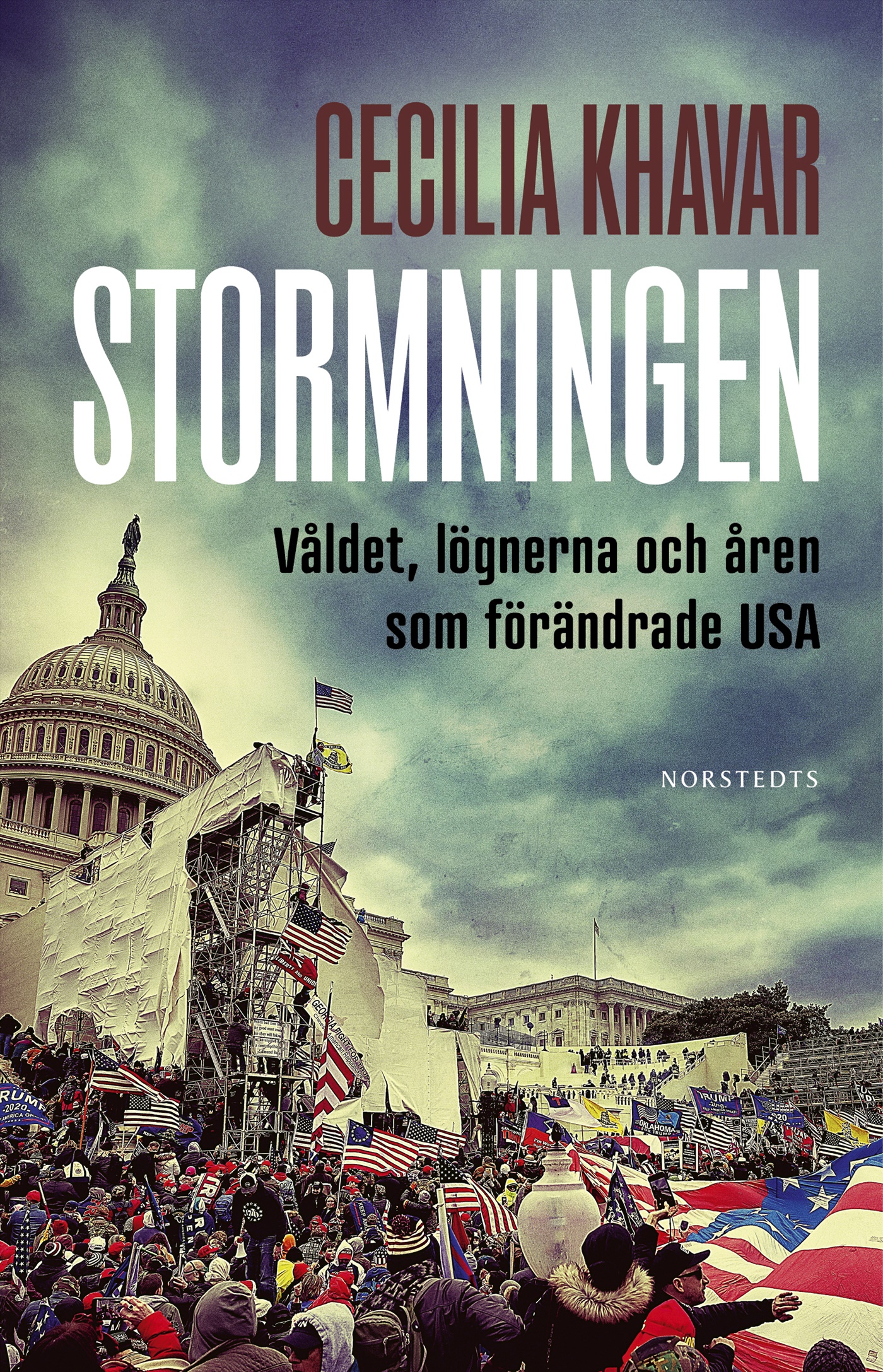 Stormningen : Våldet, lögnerna och åren som förändrade USA