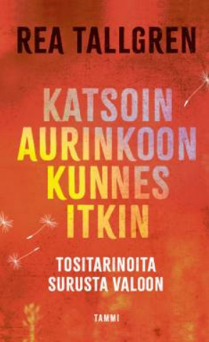 Katsoin aurinkoon kunnes itkin: Tositarinoita surusta valoon
