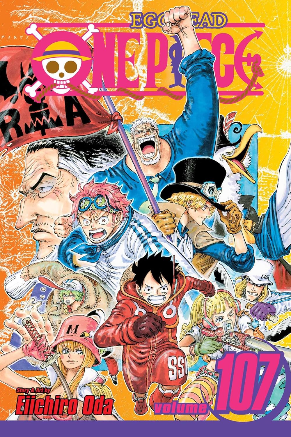 One Piece, Volume 107 book cover