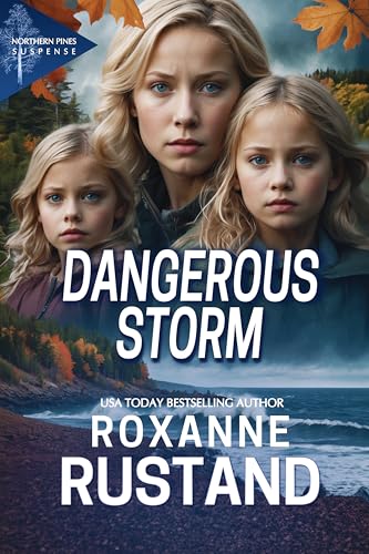 DANGEROUS STORM: a clean, small town romantic suspense